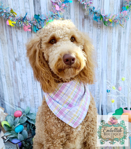 Boutique sales dog bandana