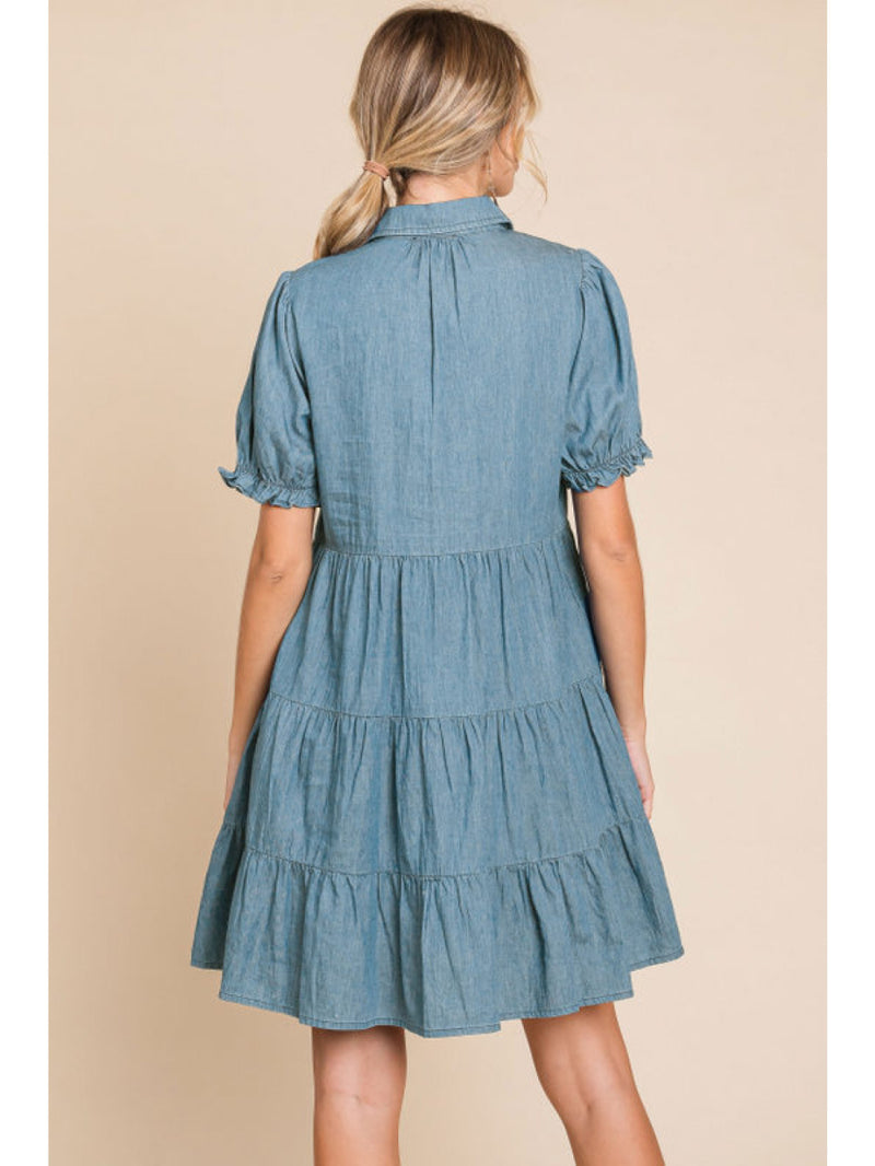 Button Front Denim Dress